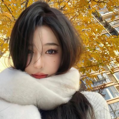 大指挥家:弦上的真相